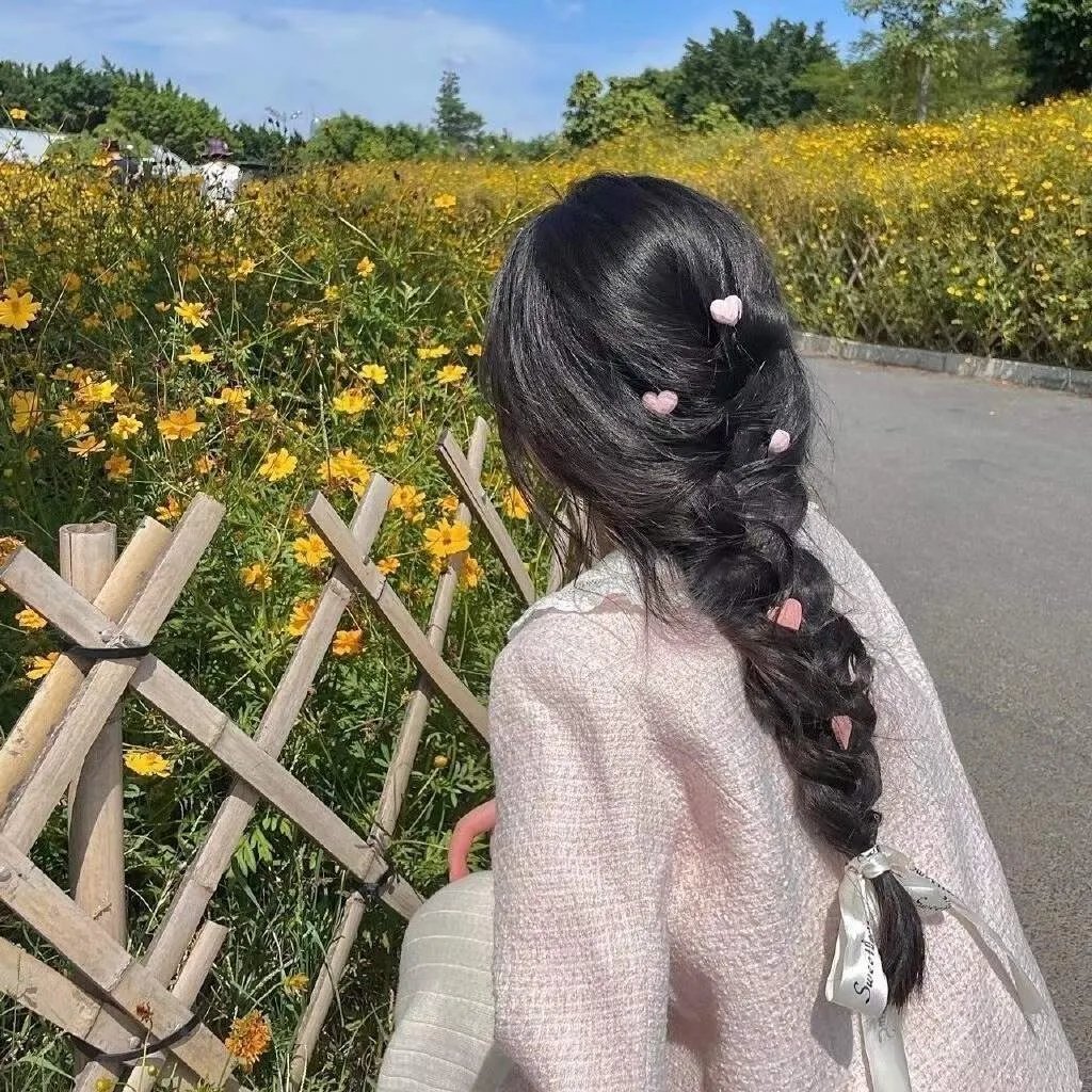 湾畔倾情第六季