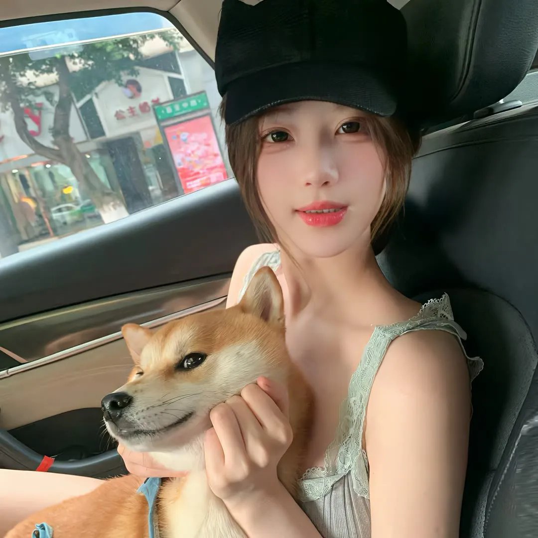 风的旅程